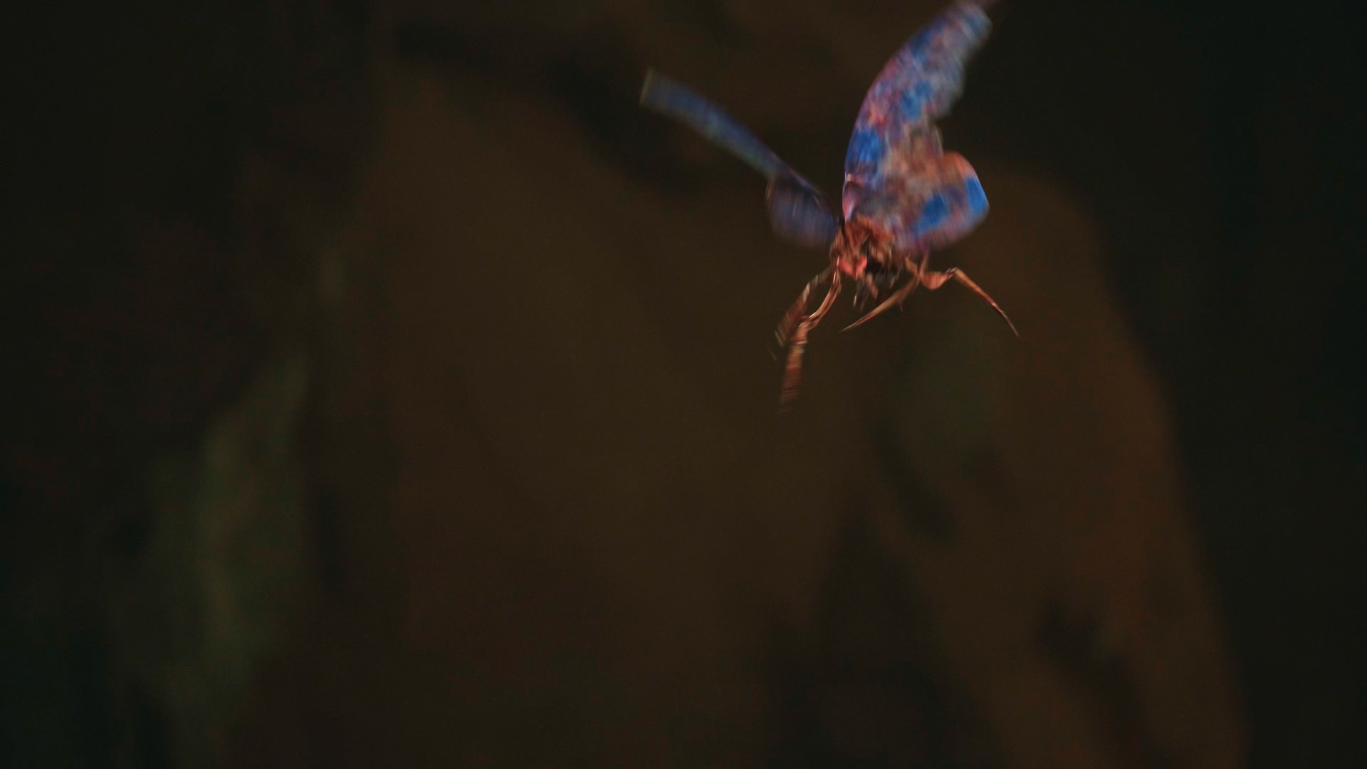 Still 2025 11 01 161911 1.2.3